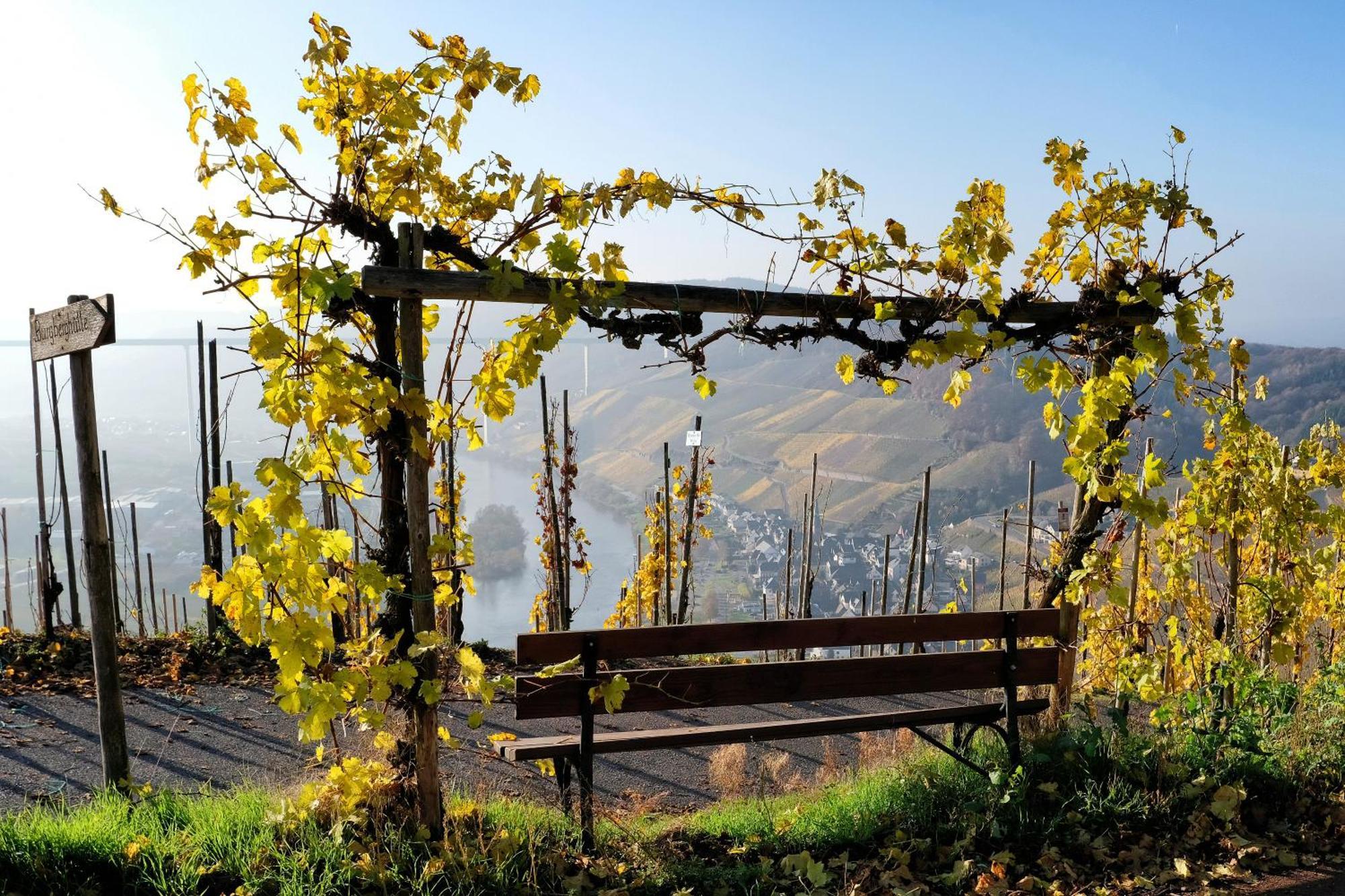 Weingut / Gaestehaus Gerlach Ürzig Εξωτερικό φωτογραφία