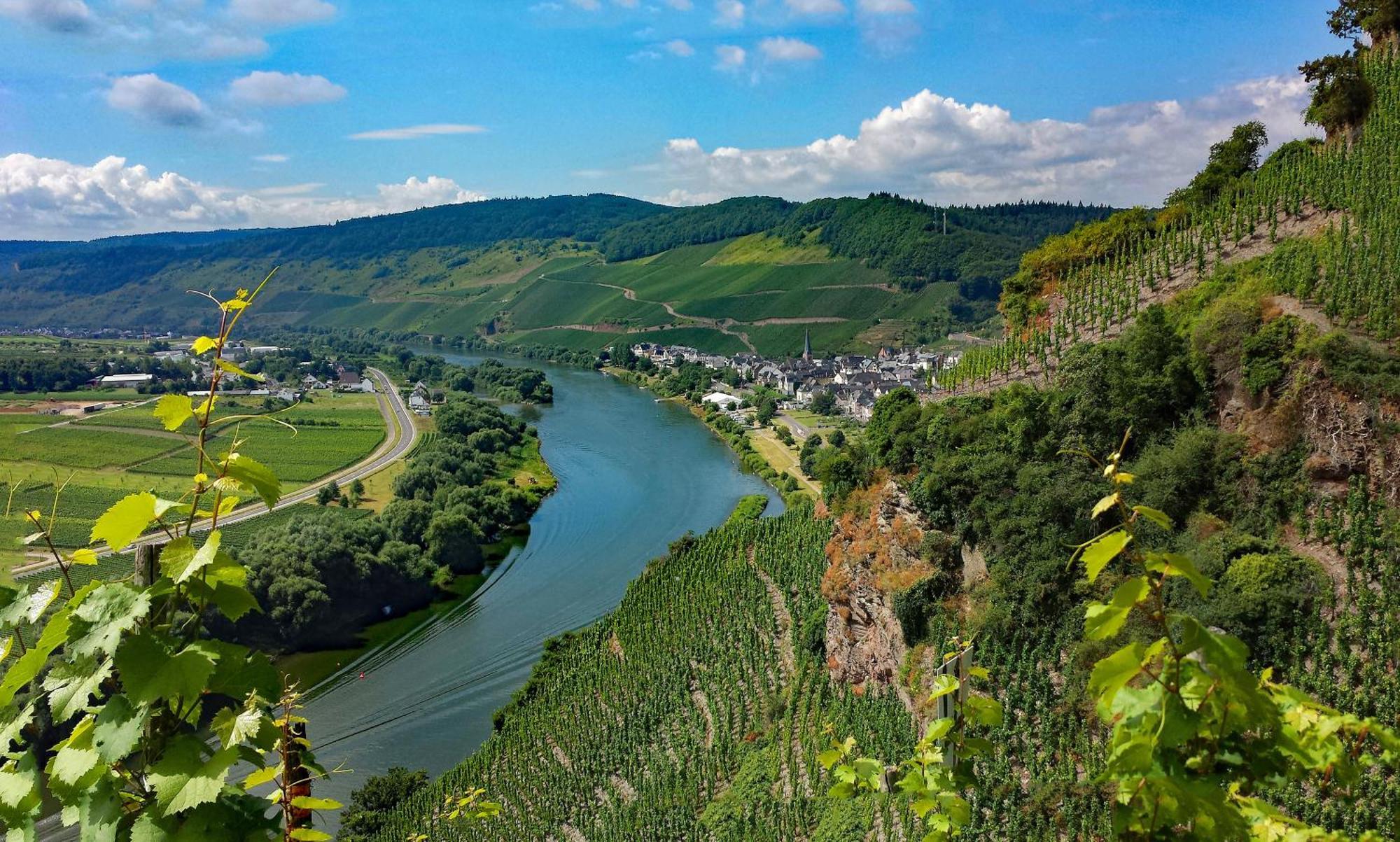 Weingut / Gaestehaus Gerlach Ürzig Εξωτερικό φωτογραφία