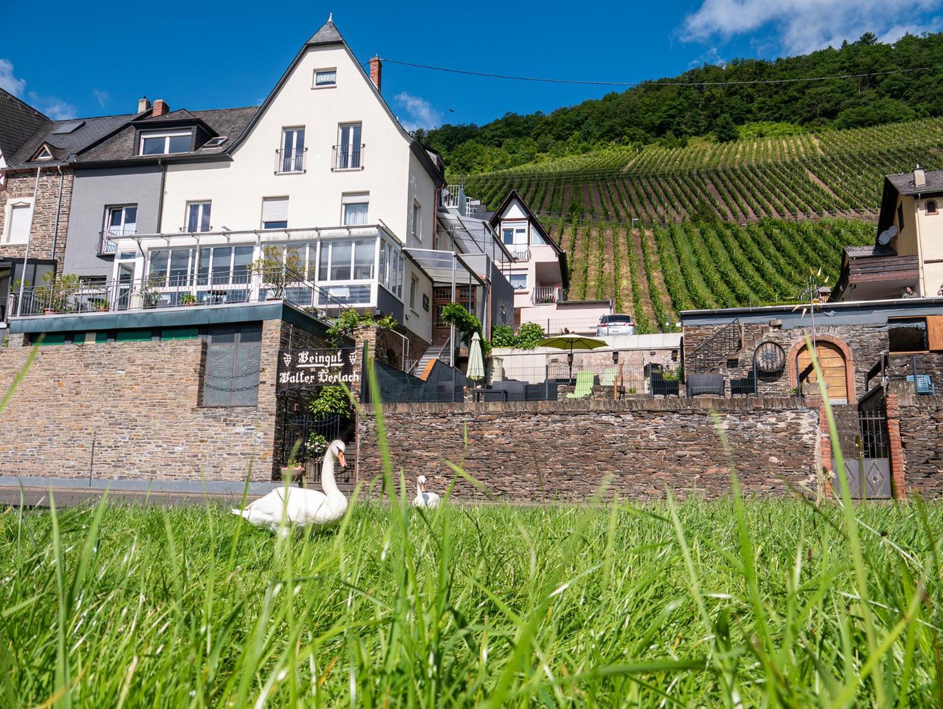 Weingut / Gaestehaus Gerlach Ürzig Εξωτερικό φωτογραφία